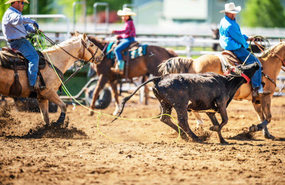 William Wayne Feed Right Royale Calf Roping