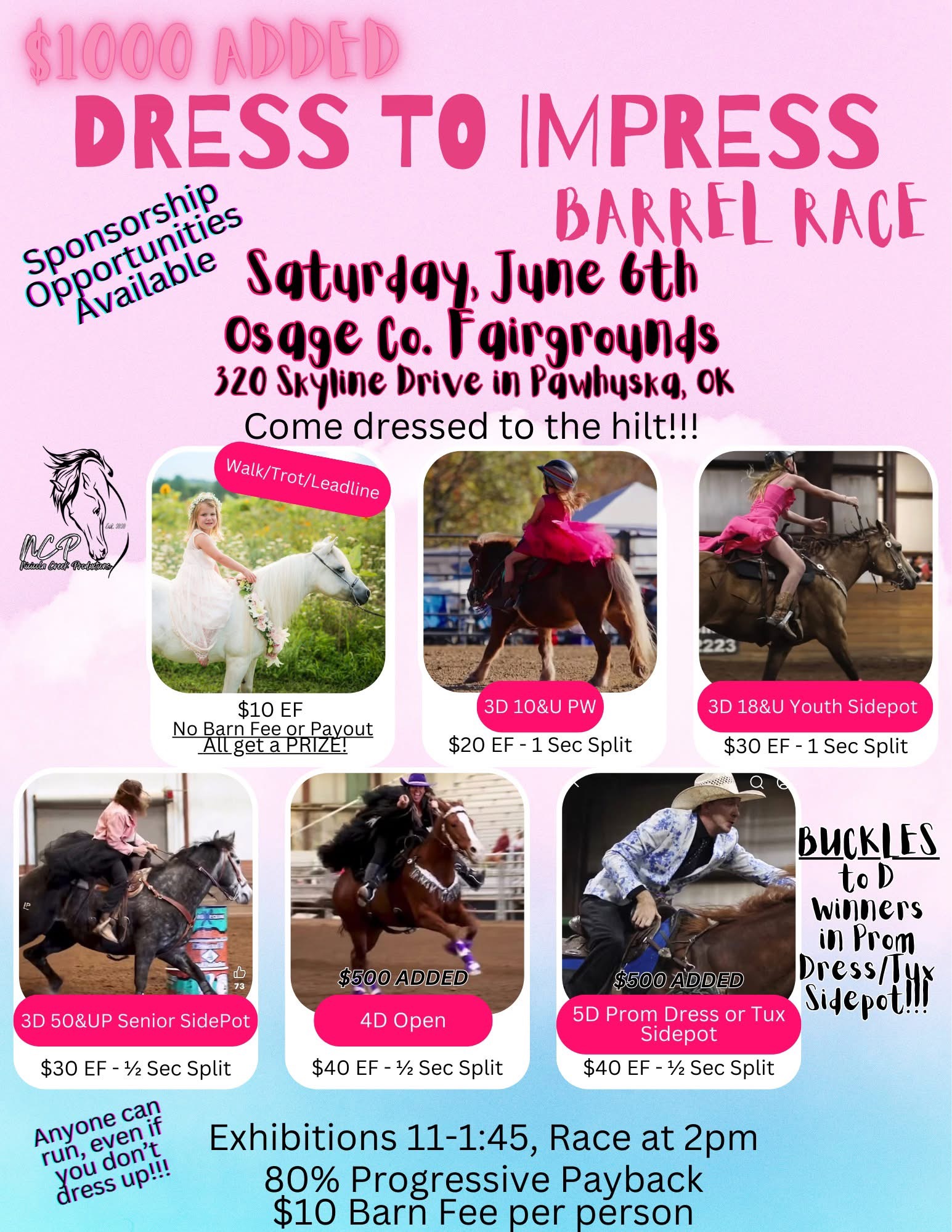 Dress to Impress Barrel Race